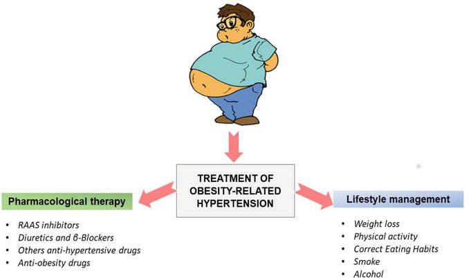 berat badan resiko hipertensi pada lingkar perut