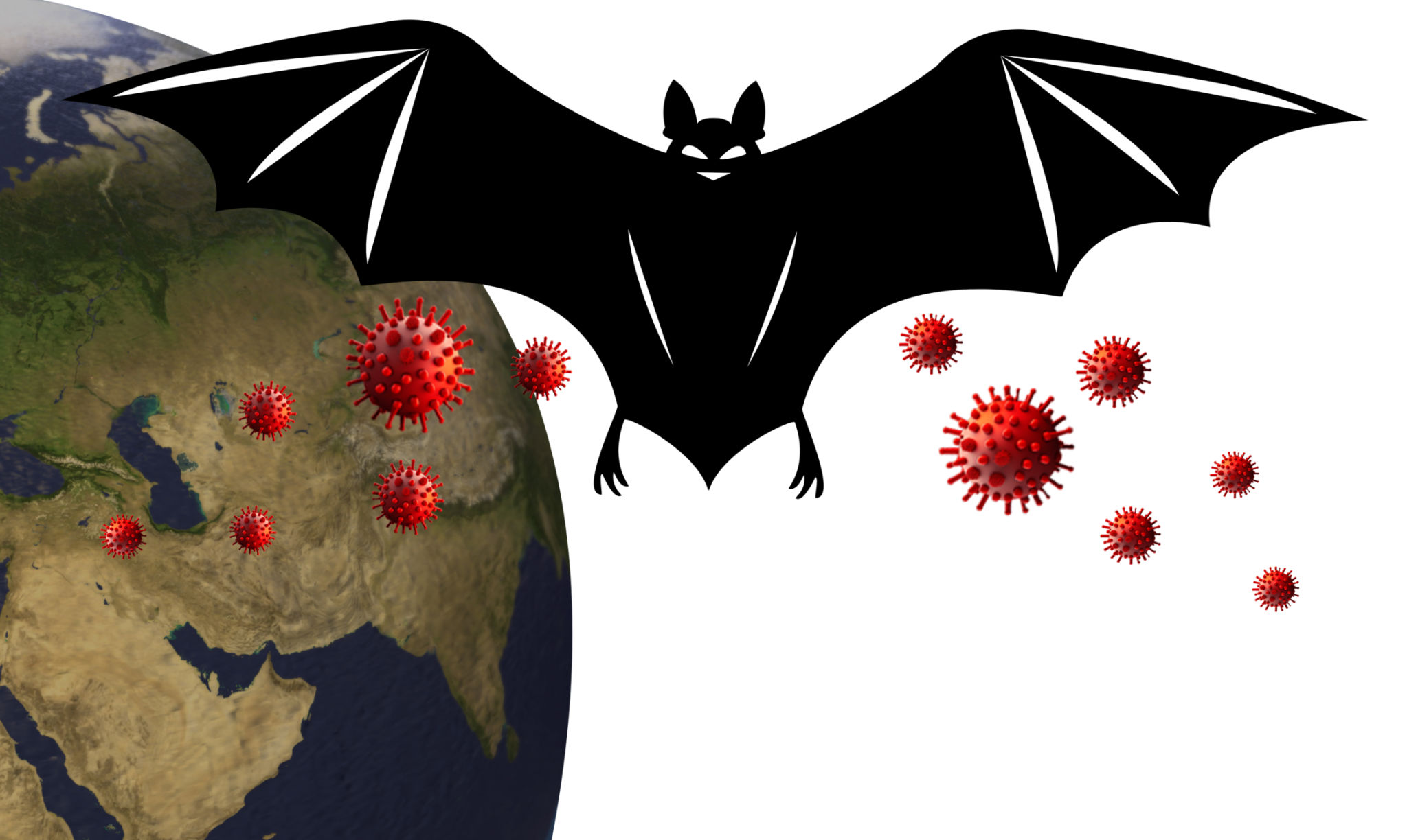 penyakit nipah
