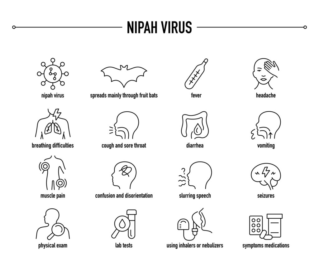 gejala penyakit nipah