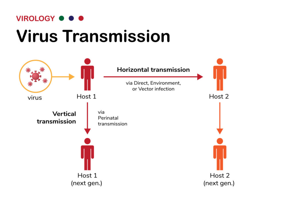 cara penularan virus nipah